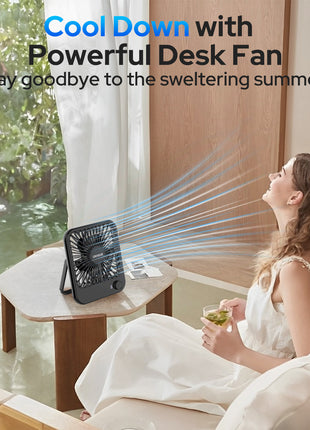 Portable Dest Fan - Air 3