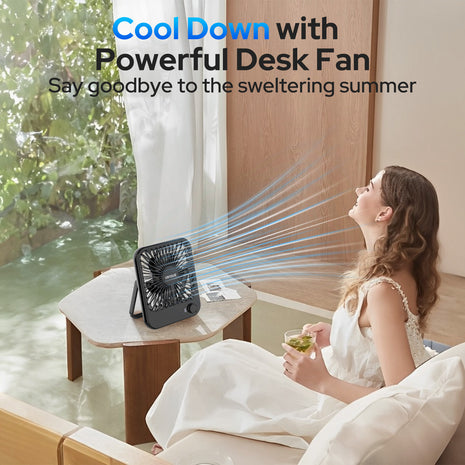 Portable Dest Fan - Air 3